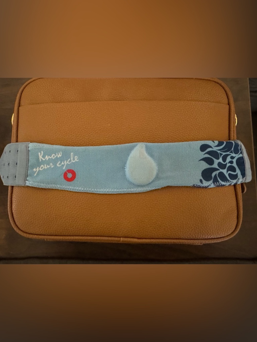 Temp Drop Sensor and Arm Band Lg/XL